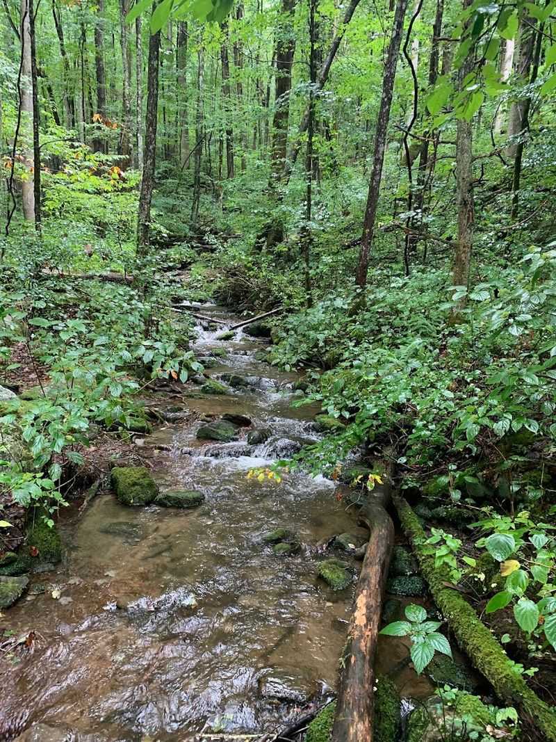 Ramsey Cascades Trail — Great Smoky Mountains National Park