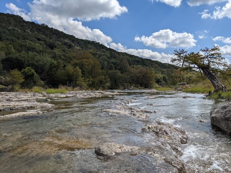 Ranger Programs That Teach and Entertain
