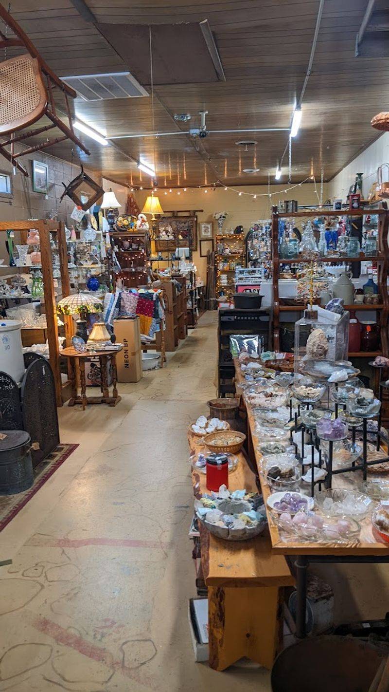 Rare Finds, Vintage Pieces, and Unexpected Treasures Fill the Aisles