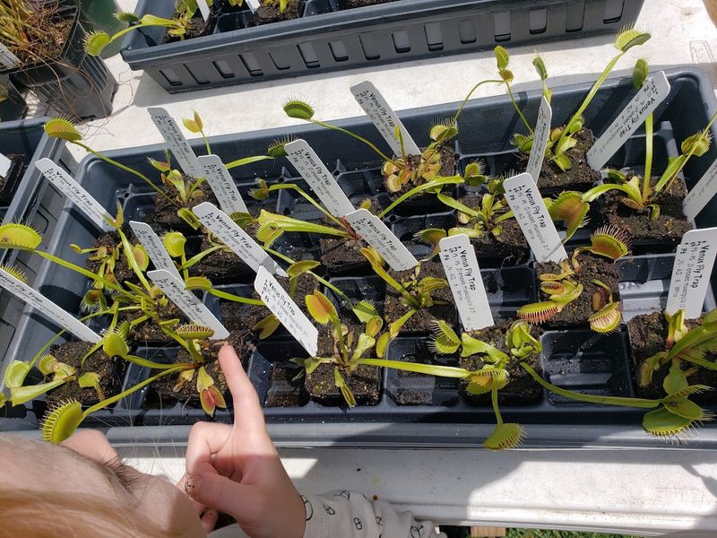 Rare Plants You Won’t Find at a Typical Garden Center Rare Plants You Won’t Find at a Typical Garden Center