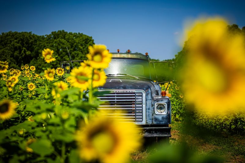 Red River Farms — Springfield