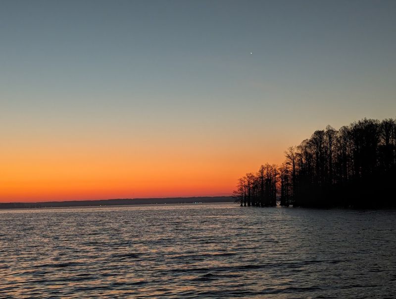 Reelfoot Lake State Park — Tiptonville