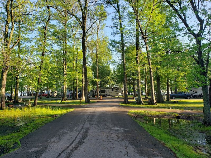 Reelfoot Lake State Park