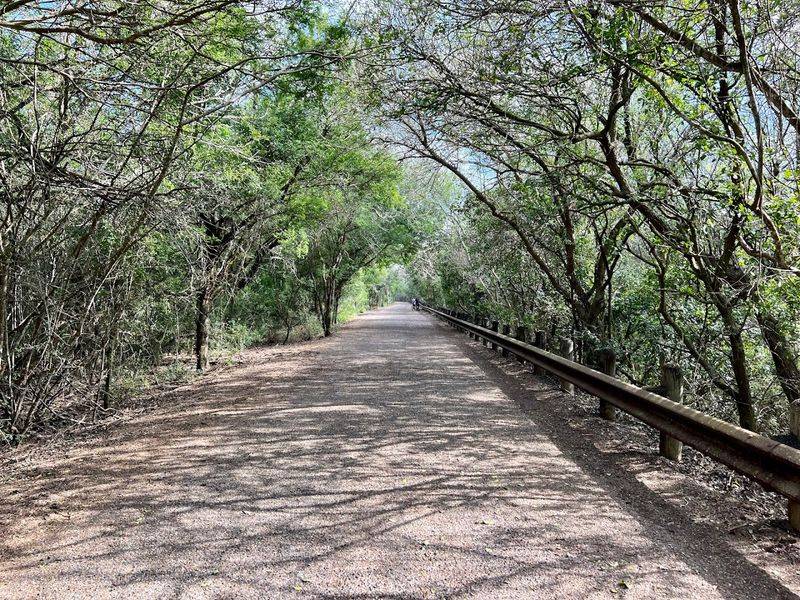 Resaca de la Palma State Park (Brownsville) Resaca de la Palma State Park (Brownsville)