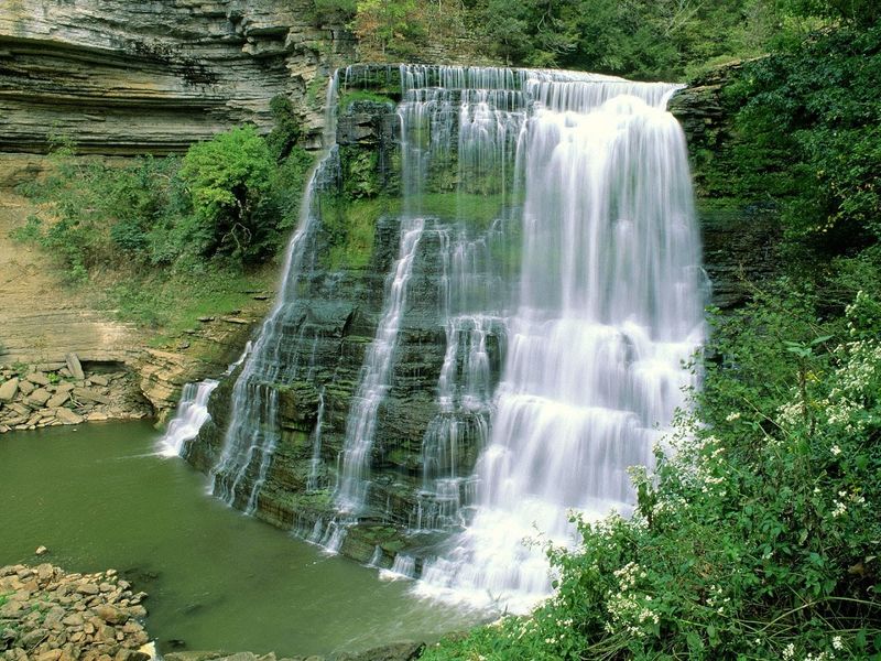 River Trail / Service Road Loop — Burgess Falls State Park