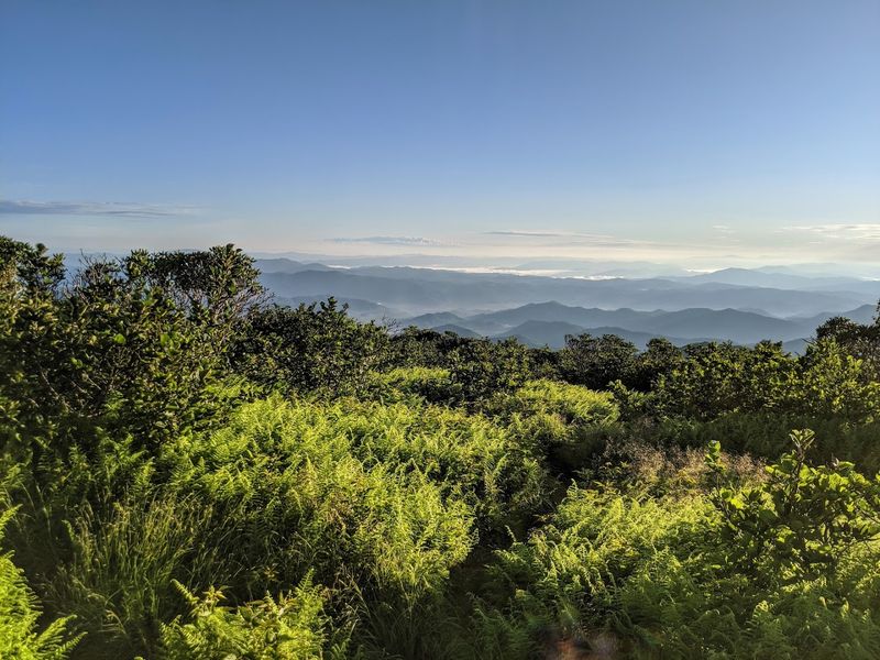Roan Mountain
