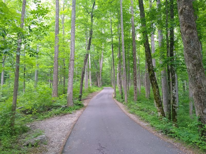 Roaring Fork Motor Nature Trail — Gatlinburg
