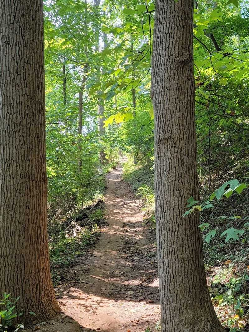Rocky Point Loop Trail at Hartshorne Woods Park