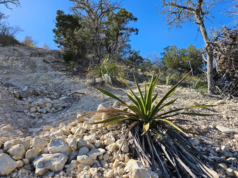 Rocky Terrain That Demands Proper Footwear