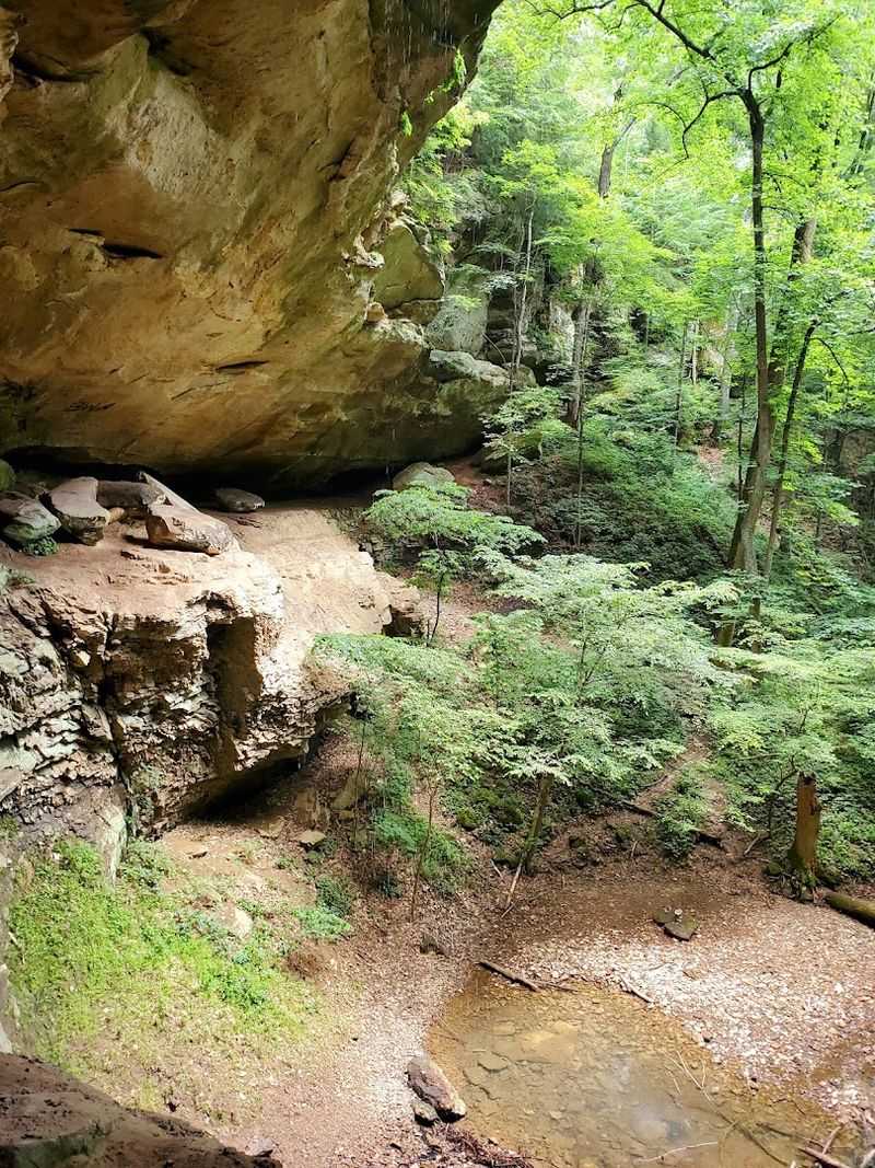 Hemlock Cliffs (English) Hemlock Cliffs (English)