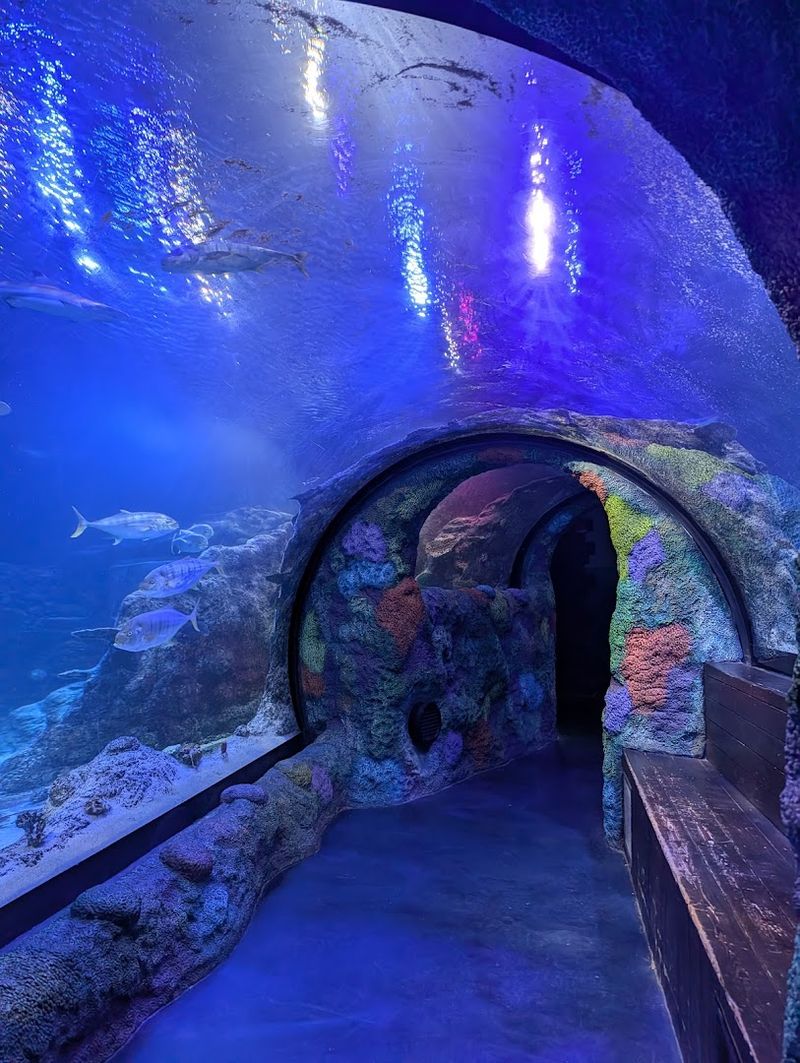 SEA LIFE Michigan Aquarium | Auburn Hills SEA LIFE Michigan Aquarium | Auburn Hills