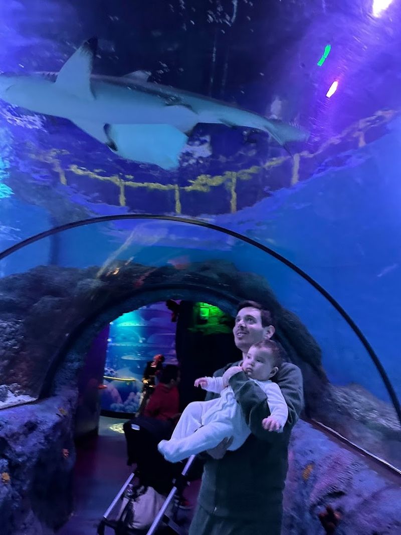 SEA LIFE New Jersey Aquarium - East Rutherford SEA LIFE New Jersey Aquarium - East Rutherford