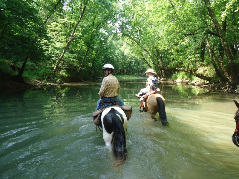 Saddle Up For A Guided Ride Through Dunlap's Scenic Countryside