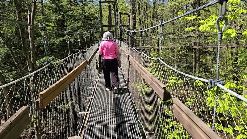 Safety, Sway, And Accessibility