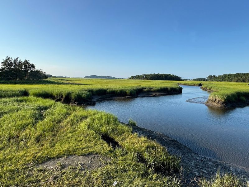Salt-marsh views that complete the meal