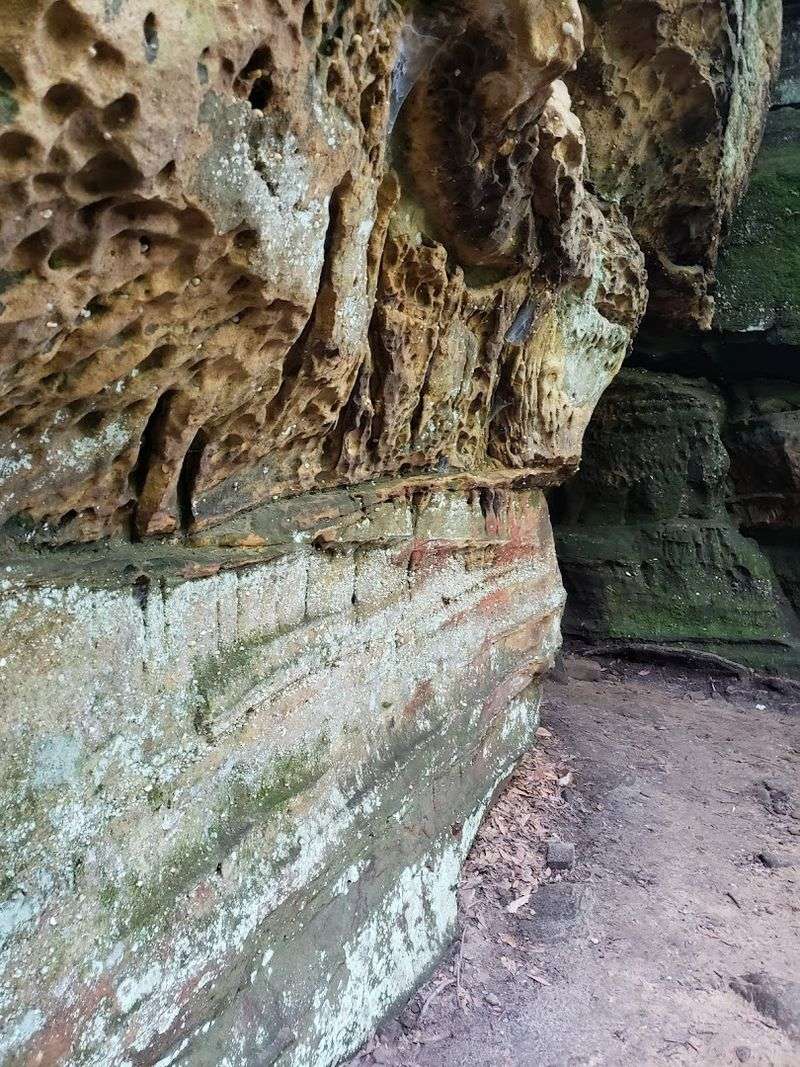 Sandstone Ledges and Mossy Corridors