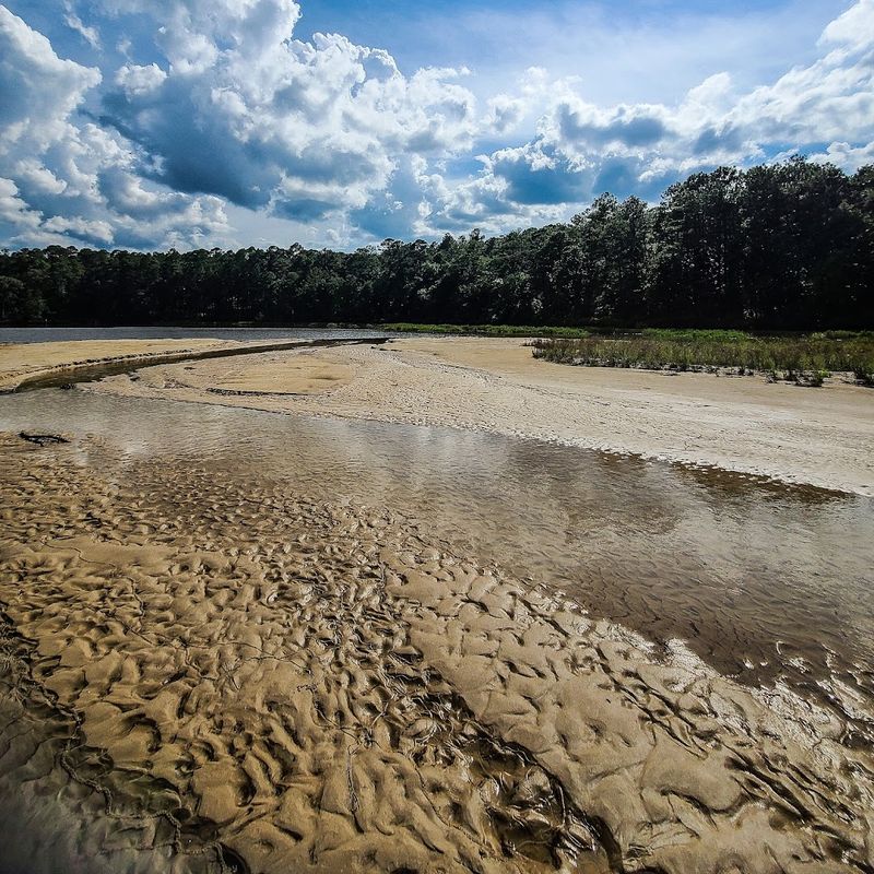 Sandy Beach Area Surprises Deep Woods Visitors Sandy Beach Area Surprises Deep Woods Visitors