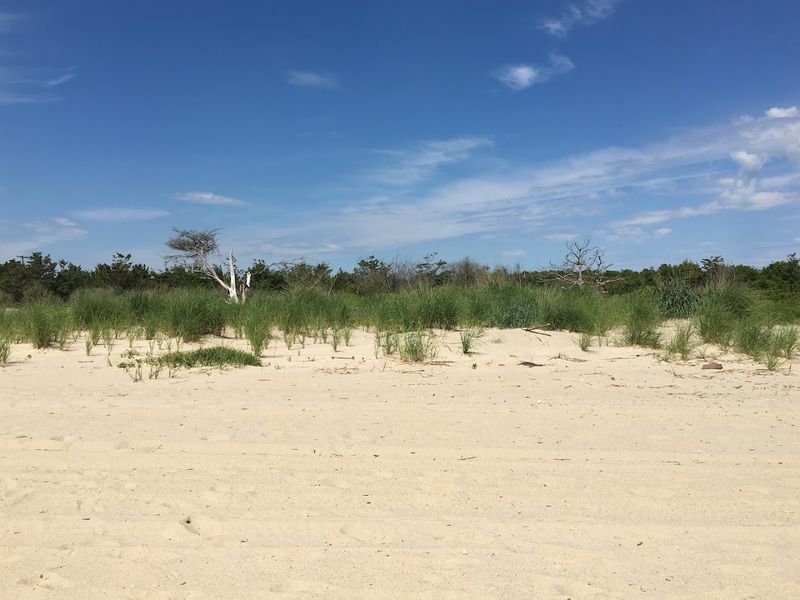Sandy Hook’s Famous Dune Trail Feels Nothing Like a Typical Shore Walk