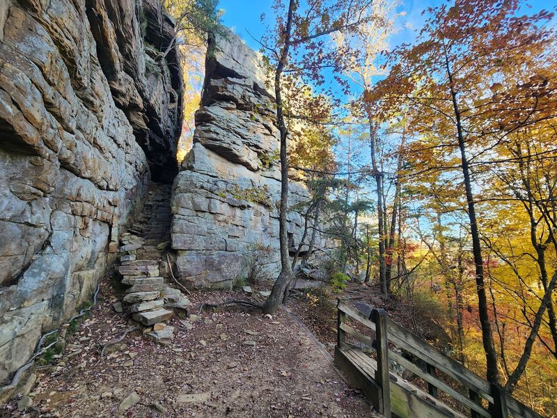 Savage Gulf State Park