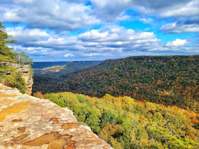 Savage Gulf State Park — Beersheba Springs