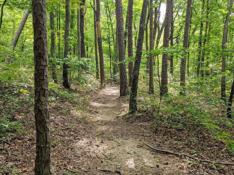 Savage Gulf State Park — Beersheba Springs