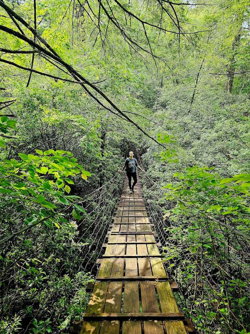 Savage Gulf State Park