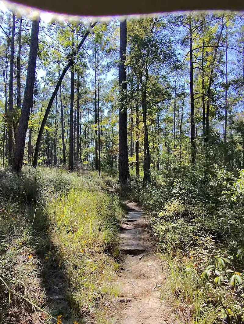 Sawmill Trail Takes You Back in Time Sawmill Trail Takes You Back in Time