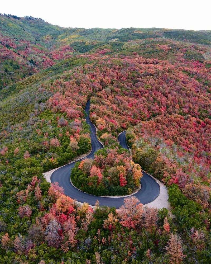Scenic Drives and Mountain Overlooks