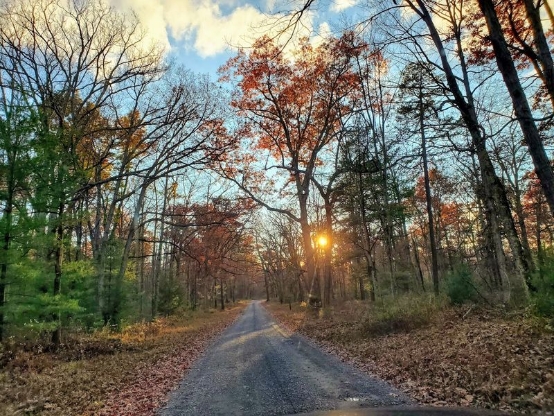 Scenic Roads, Vistas, And Backcountry Drives Scenic Roads, Vistas, And Backcountry Drives