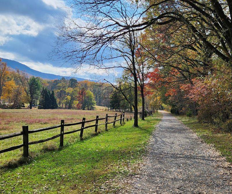 Scenic Trails That Wind Through Forests, Meadows, and Creekside Views