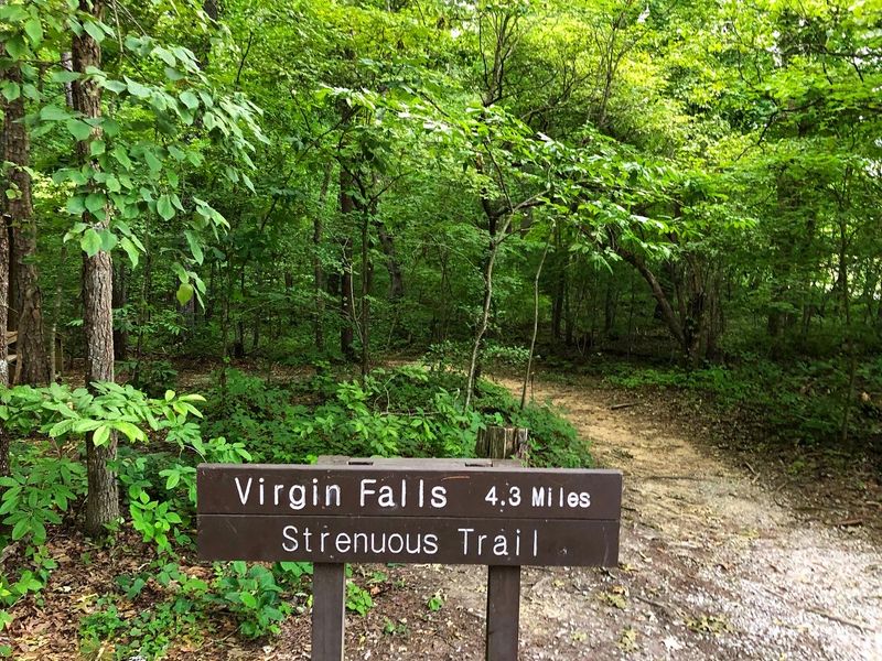 Scott's Gulf Wilderness State Park