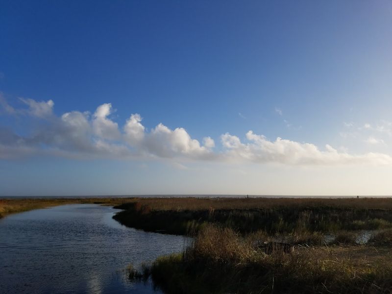 Sea Rim State Park Beach (Sabine Pass)