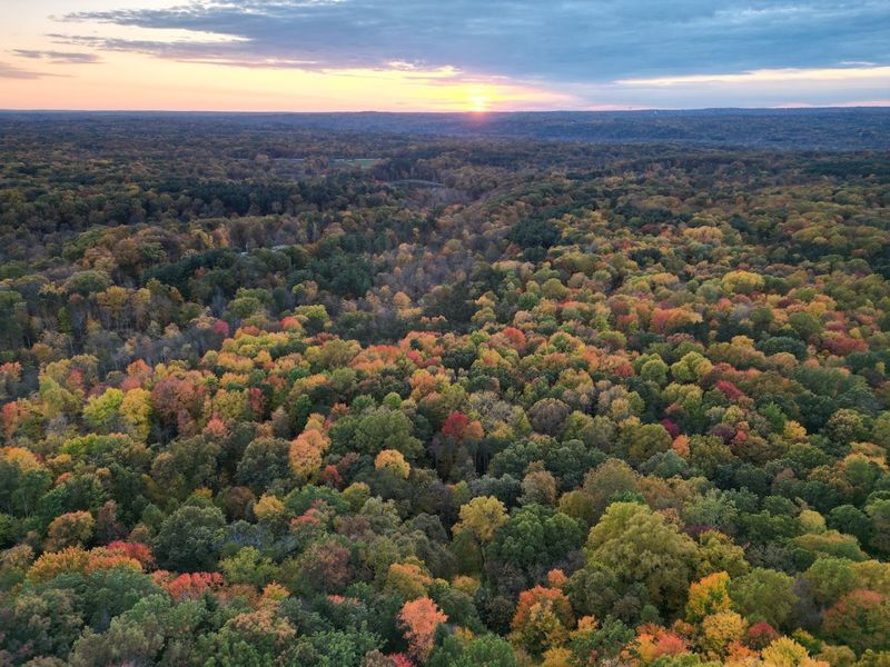 Seasonal Beauty and Fall Color