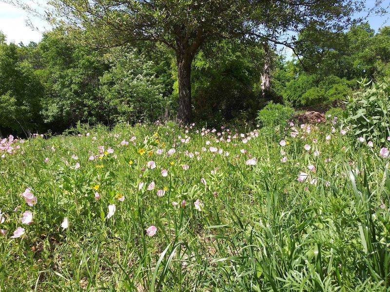 Seasonal Changes That Reward Repeat Visits