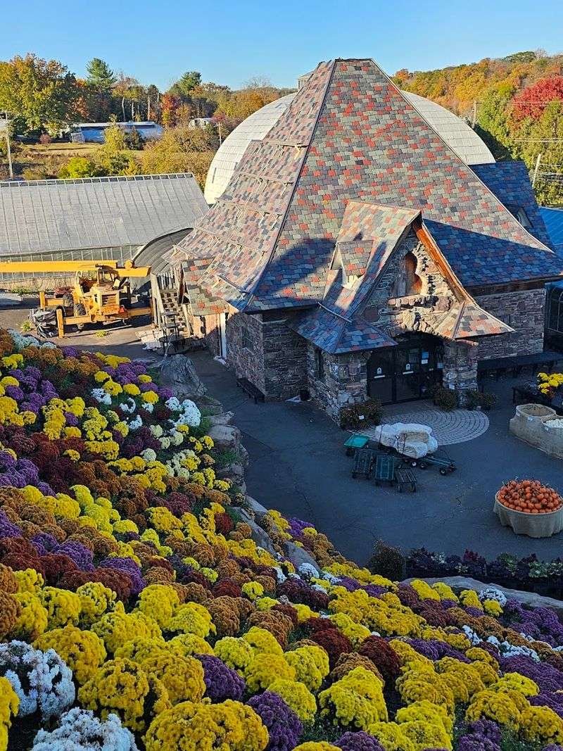 Seasonal beauty beyond the mums