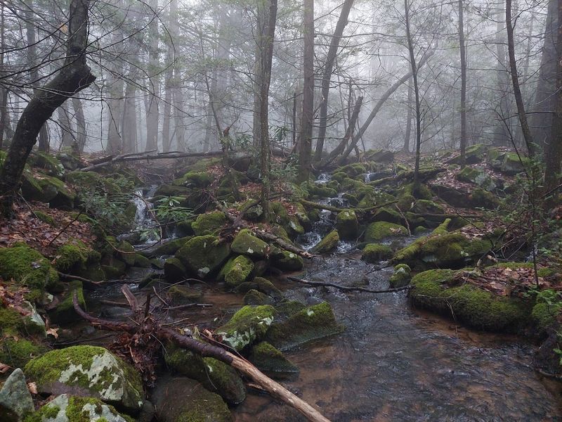 Secluded Campgrounds And Peaceful Overnight Stays Secluded Campgrounds And Peaceful Overnight Stays