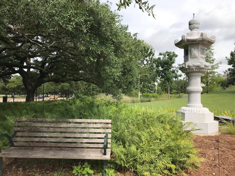 Shaded Oak Trees And Resting Spots Shaded Oak Trees And Resting Spots