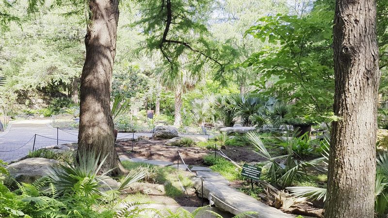 Shaded Walking Trails Through Natural Woods