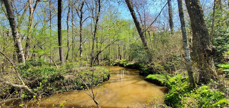Shark River Park
