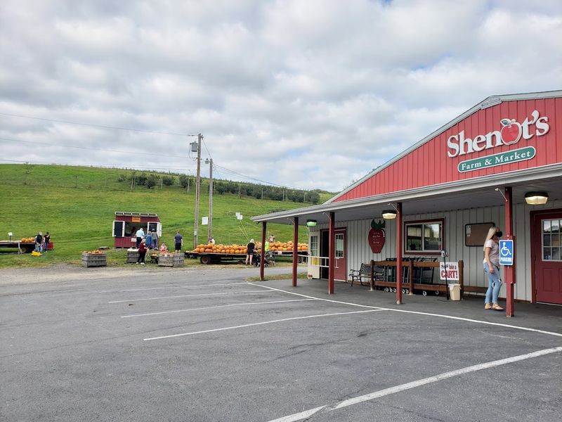 Shenot Farm & Market