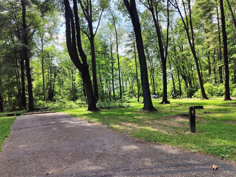 Shoreline walks and trails give you the quieter side of the park Shoreline walks and trails give you the quieter side of the park