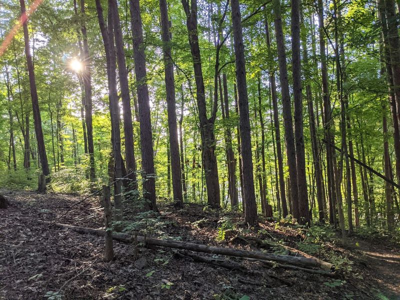 Short Trails Make It Easy To Explore Without Pressure
