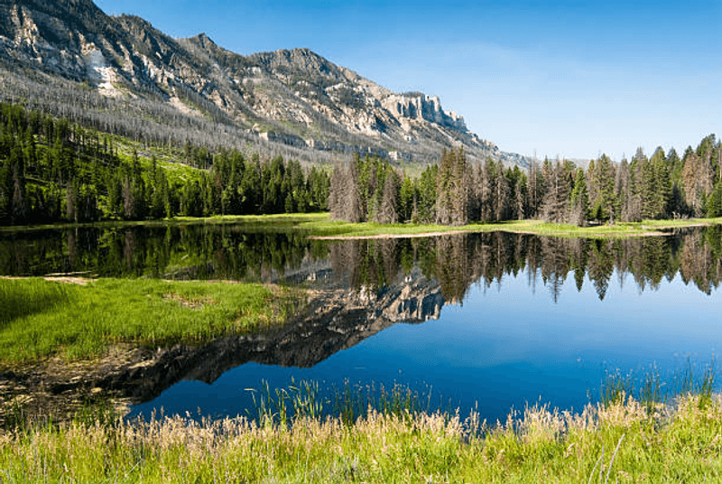 Shoshone National Forest - Sawmill Campground