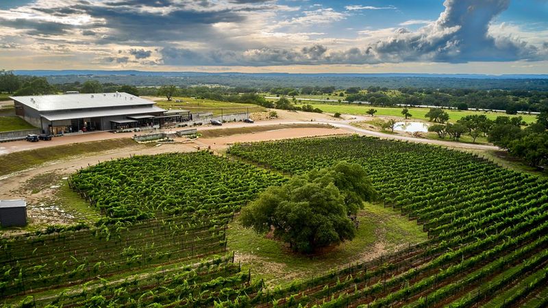 Siboney Cellars (Johnson City)