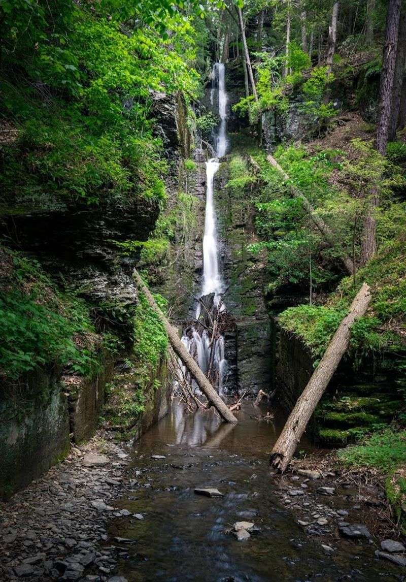 Silver Spray Falls