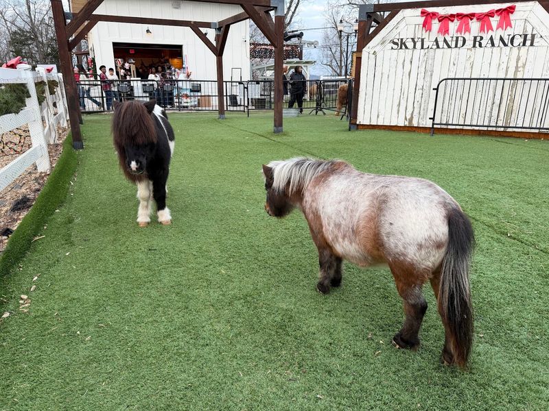 SkyLand Ranch — Sevierville