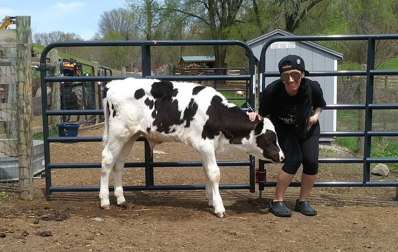 Skylands Animal Sanctuary & Rescue - Wantage
