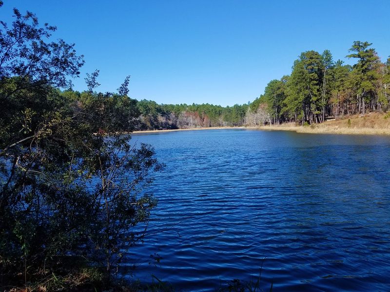 Small Lake Offers Peaceful Fishing Escape Small Lake Offers Peaceful Fishing Escape