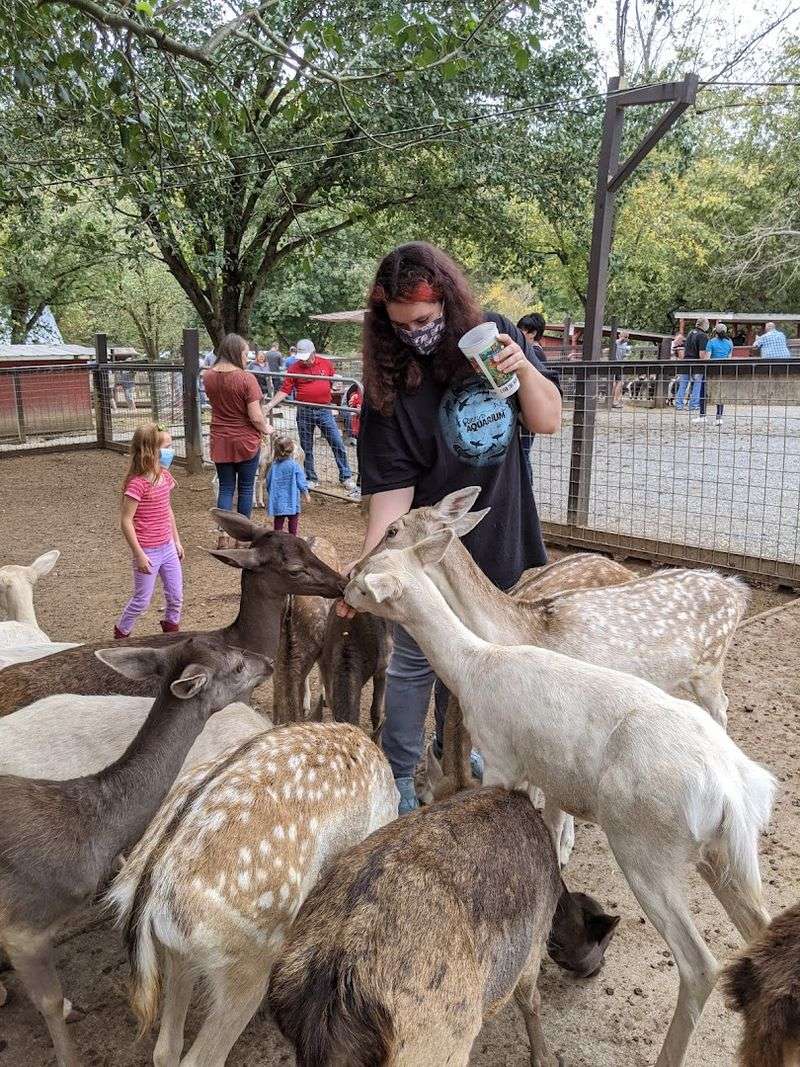 Smoky Mountain Deer Farm & Exotic Petting Zoo — Sevierville