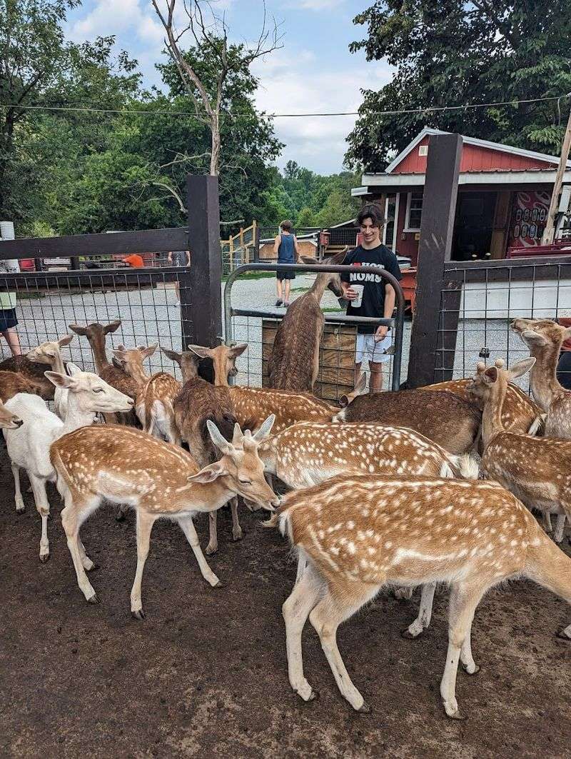 Smoky Mountain Deer Farm and Exotic Petting Zoo — Sevierville Smoky Mountain Deer Farm and Exotic Petting Zoo — Sevierville